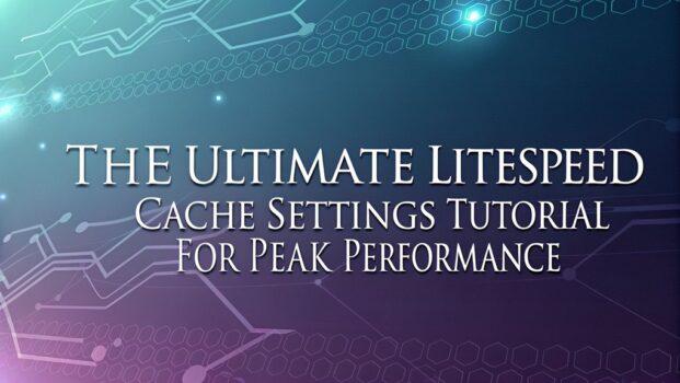 litespeed cache optimization guide