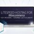 Best LiteSpeed Hosting Providers in 2025 (Performance Benchmarked)